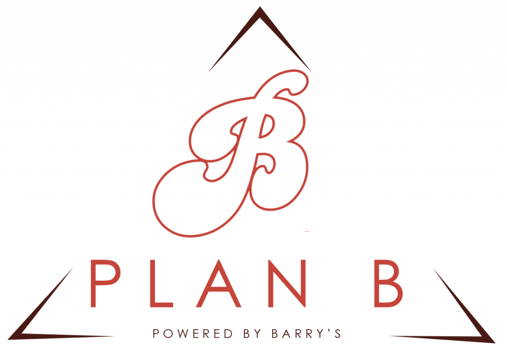 Plan-b